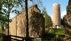 Burgruine Vienenburg