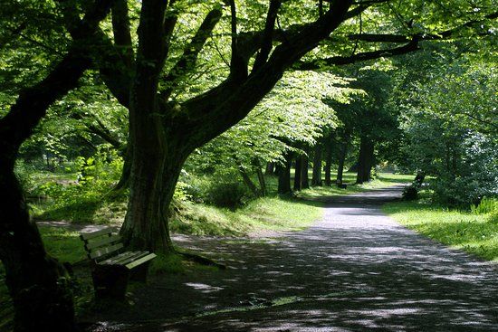 Steinway-Park Seesen