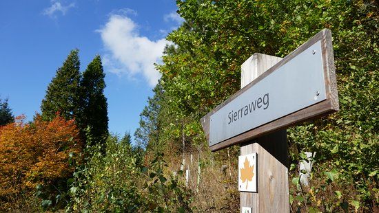 WeltWald Indianerpfad